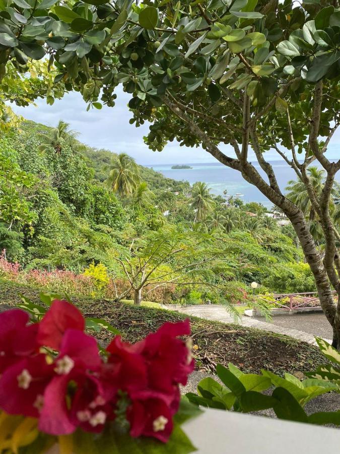 Bora Bora Holiday'S Lodge Eksteriør billede